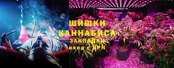 крисы Белокуриха
