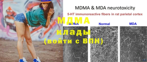 шишки Богородск