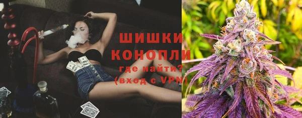 крисы Белокуриха